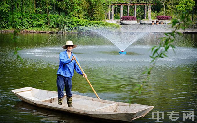 重庆机电职业技术大学