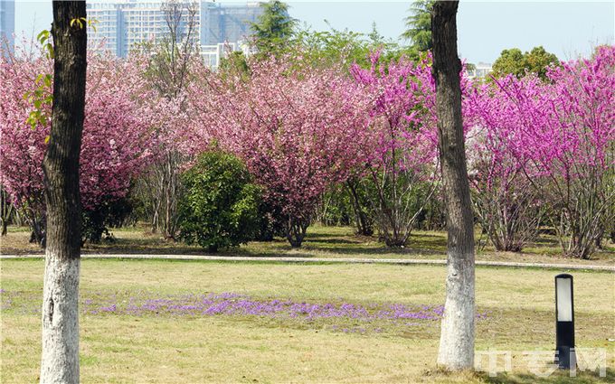 常州信息职业技术学院环境、寝室介绍