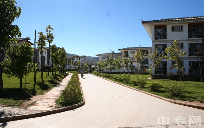 丽江文化旅游学院