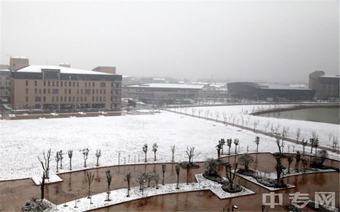 武汉晴川学院