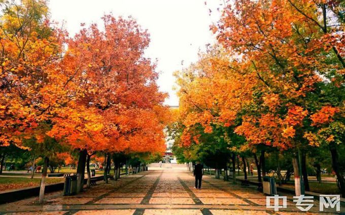 太原理工大学环境、寝室介绍