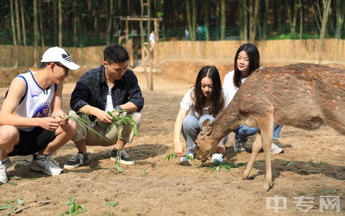 湖北商贸学院环境、寝室介绍