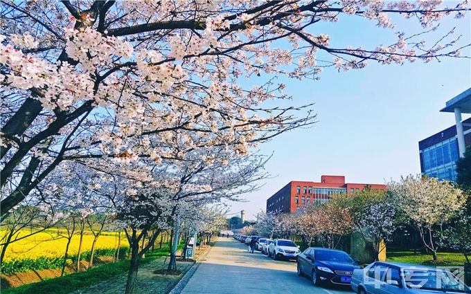 武汉城市学院环境、寝室介绍