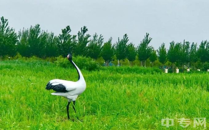 黑龙江八一农垦大学环境、寝室介绍