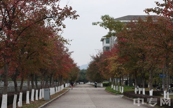 福建江夏学院环境、寝室介绍