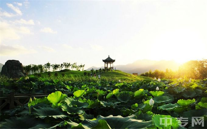 福建中医药大学环境、寝室介绍