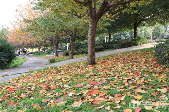 贵州交通技师学院(贵州省交通运输学校)校园绿化