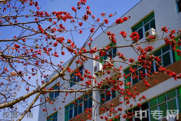 泉州市第九中学校园一角