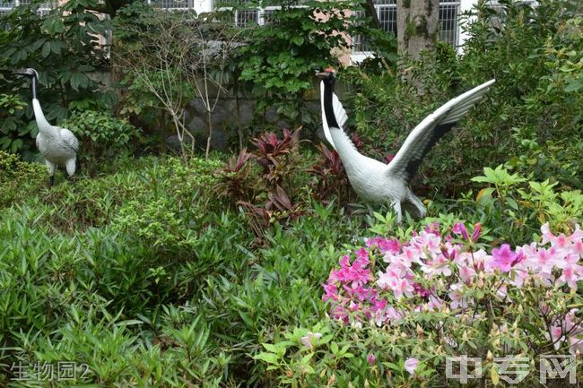 莆田哲理中学生物园2