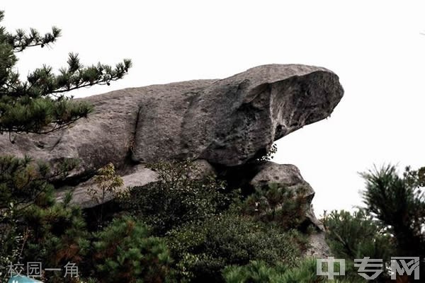 顺昌第一中学校园一角