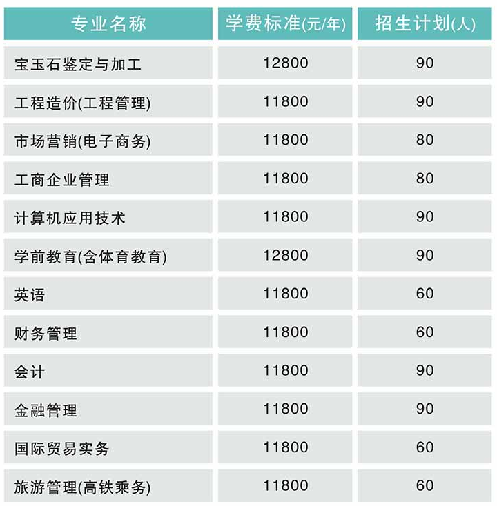 武汉工程科技学院继续教育学院自考专业