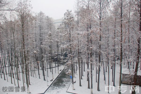 湖北大学知行学院继续教育学院校园雪景1