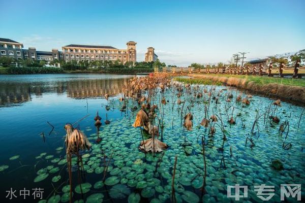 上海海洋大学继续教育学院水中荷