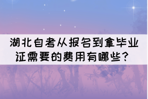 湖北自考从报名到拿毕业证需要的费用有哪些？