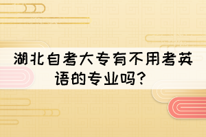 湖北自考全日制大专哪些专业不用考英语？