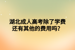 湖北?成人高考除了学费还有其他的费用吗？