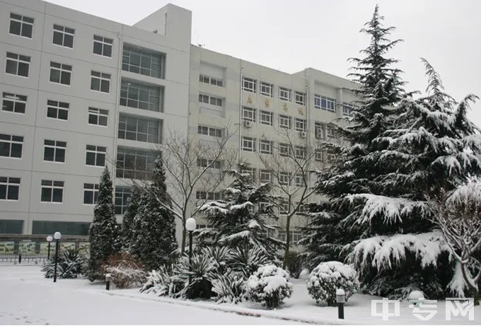 山东省青岛卫生学校冬景