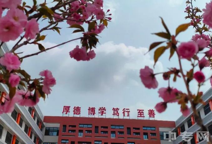 献县职业技术教育中心学校风景
