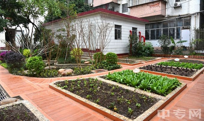 广州市幼儿师范学校学生种植体验园全景