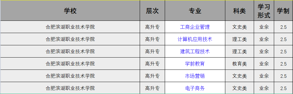 合肥滨湖职业技术学院.png