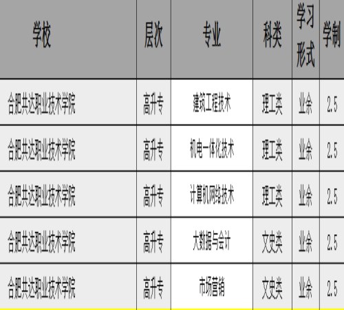 合肥共达职业技术学院.jpg