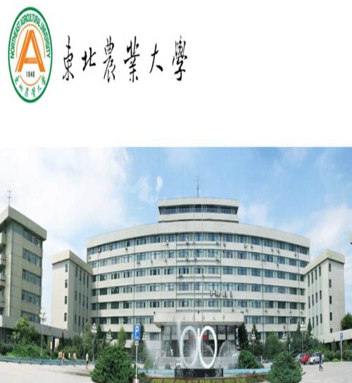 东北农业大学.jpg