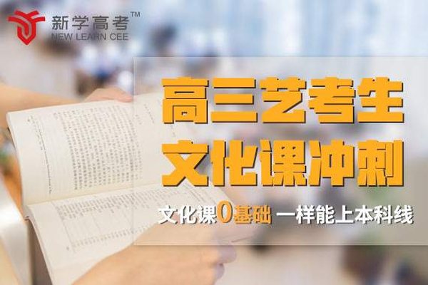 新学高考攀枝花艺术生文化课补习班