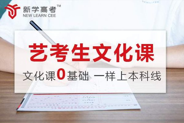 新学高考凉山艺考生文化课补习班