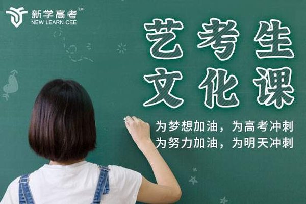 新学高考甘孜艺考生补习文化课补习班