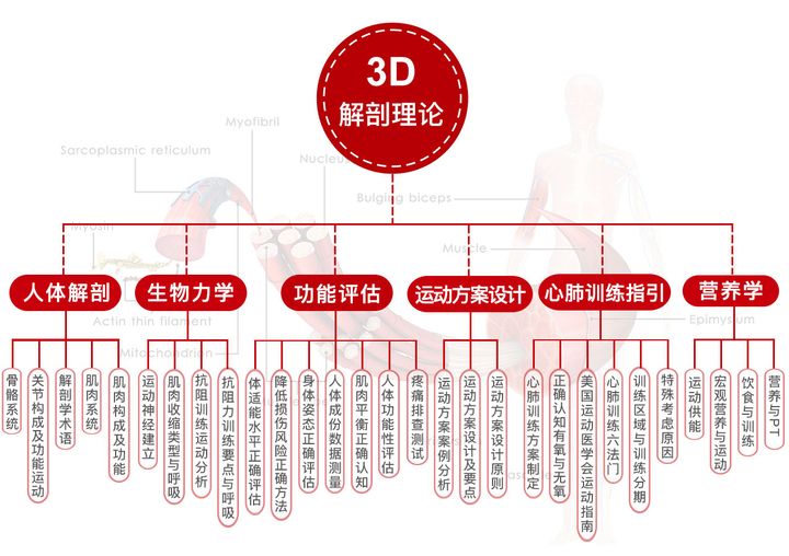 重庆567GO学院高级私人教练认证培训班