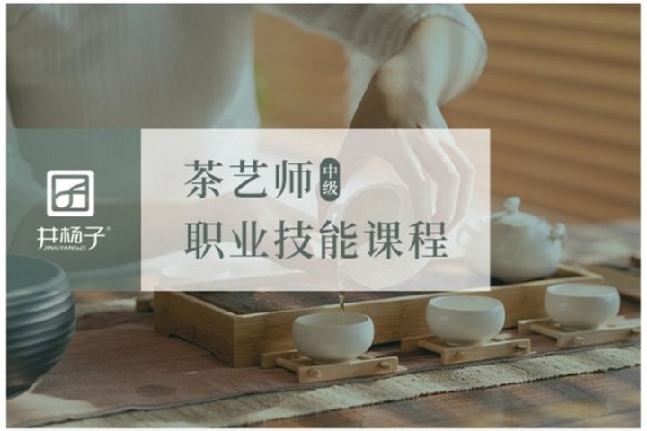 重庆井杨子茶艺茶艺体验培训班