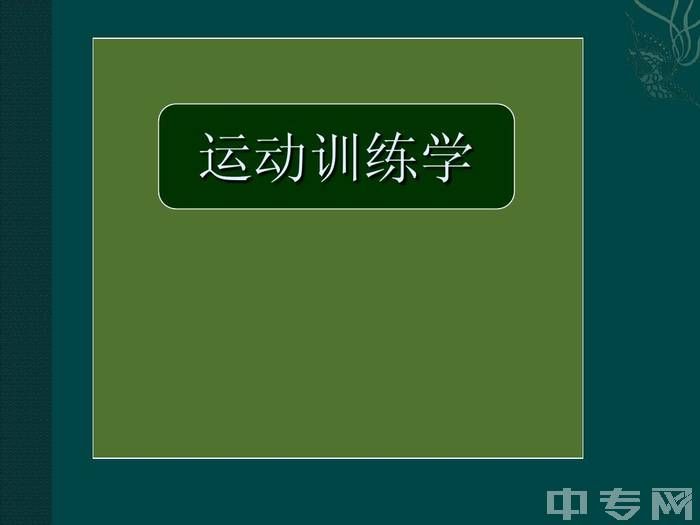 北京市国际美术学校运动训练(武术)