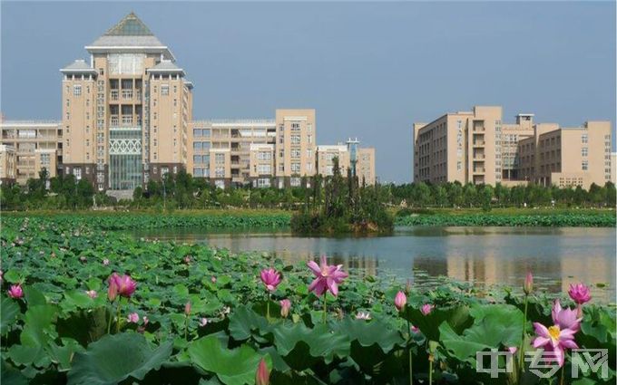 武汉科技大学-校园一角