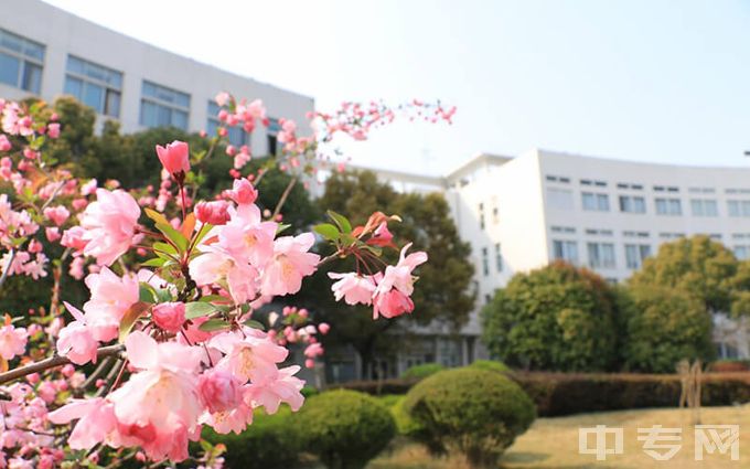 上海第二工业大学-校园四月天