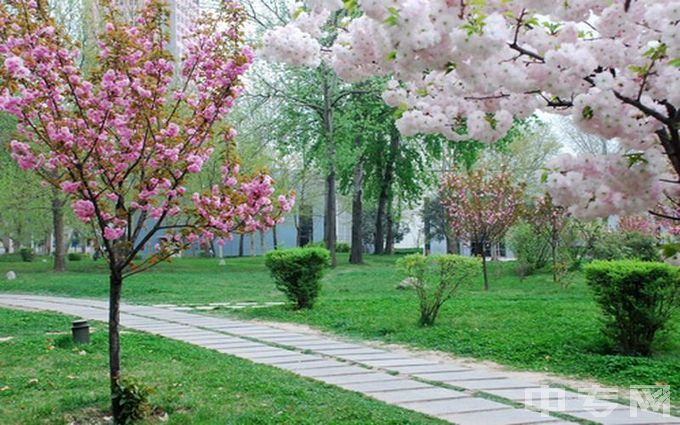 西安建筑科技大学华清学院-校园环境（3）