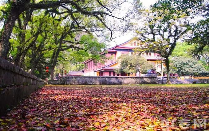 广西师范大学-校园风光(3)