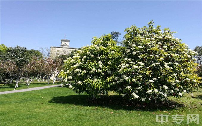 宁波诺丁汉大学-花园