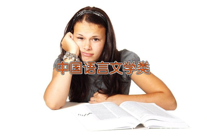 北京大学中国语言文学类
