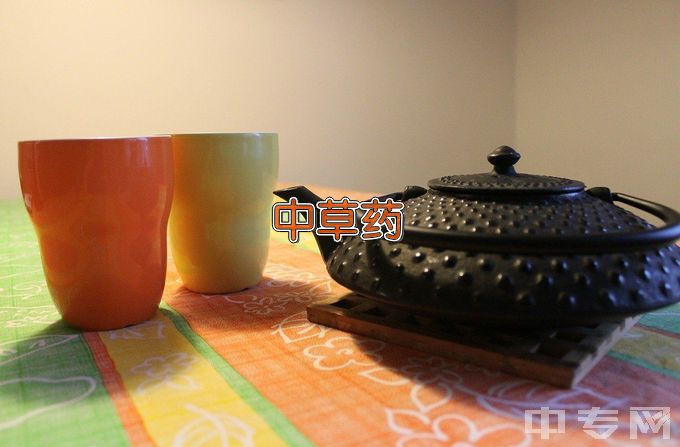 定西师范高等专科学校中草药栽培与加工技术