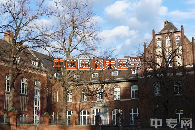 长江大学中西医临床医学