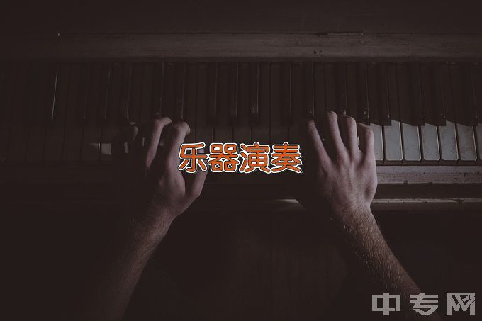 东安县职业中专学校乐器维修与制作