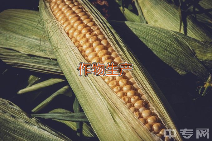 广东农工商职业技术学院作物生产与经营管理