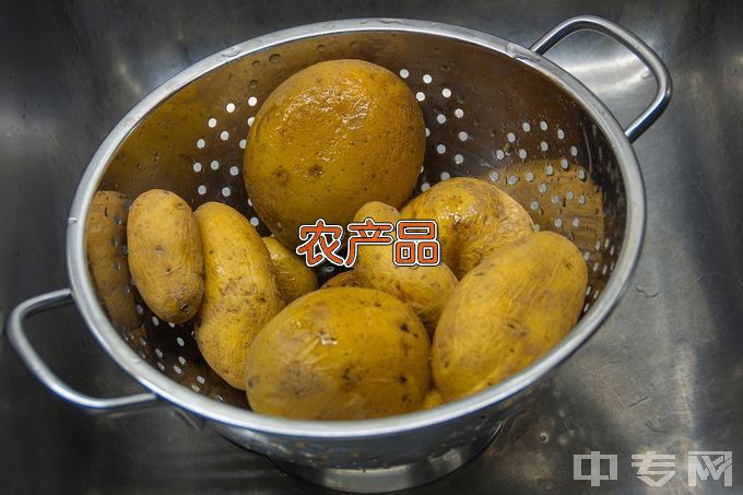 辽宁职业学院农产品加工与质量检测