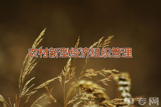 浙江经贸职业技术学院农村新型经济组织管理