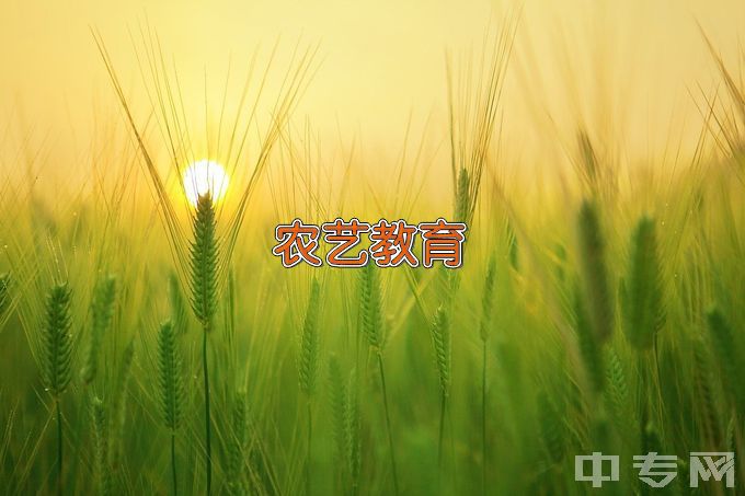 原阳县职业教育中心现代农艺技术