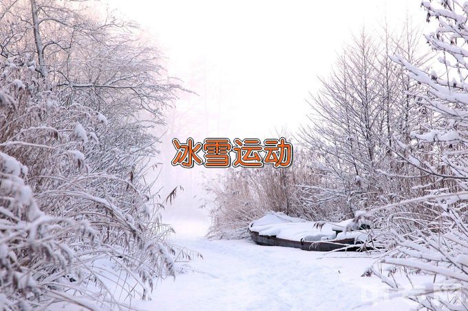 北京体育职业学院冰雪运动服务与推广