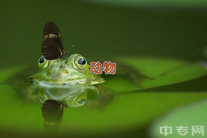 白城师范学院动物科学