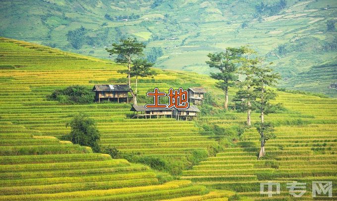 山东农业大学土地资源管理