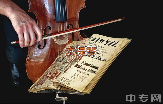 中央音乐学院弦乐大提琴