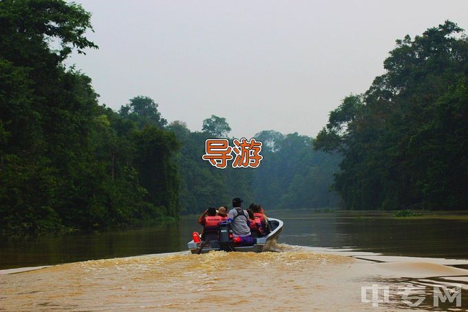 桂林山水职业学院导游